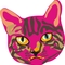 papatedy's profile picture