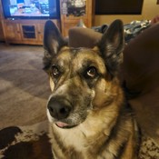 Kstern4036's profile picture