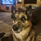 Kstern4036's profile picture