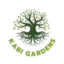 kabistore's profile picture