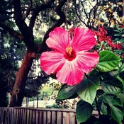 JustJen18's profile picture