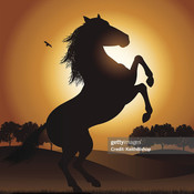 TrendyHealthEssent's profile picture