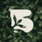 drbotanico's profile picture