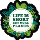 FunCactusFoliage's profile picture