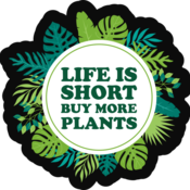 FunCactusFoliage's profile picture