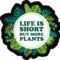FunCactusFoliage's profile picture