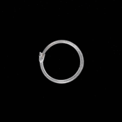 ACYNTA's profile picture