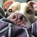 AQRLLC's profile picture
