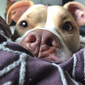 AQRLLC's profile picture