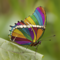 AutumnLeAnnDesigns's profile picture
