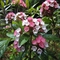 MuhSukran_store's profile picture