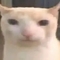 ctferdman's profile picture