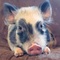 Hoarders_Trove's profile picture