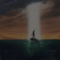 bizarre_media's profile picture