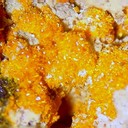 Catalinaminerals's profile picture