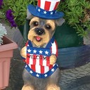 JKP_Great_Gifts_'s profile picture
