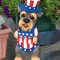 JKP_Great_Gifts_'s profile picture