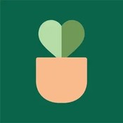 orchidstuffplus's profile picture