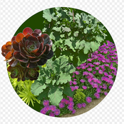 home_gardening's profile picture