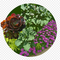 home_gardening's profile picture