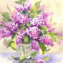 Anita1's profile picture