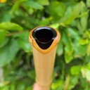 nghiatrongshop's profile picture