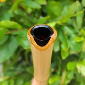 NghiaTrongBamboo's profile picture