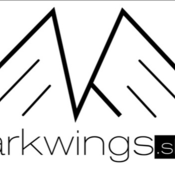 Dark_wings_shop's profile picture