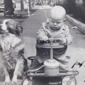 mdsfla's profile picture