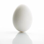 e4egg's profile picture