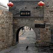 JunChiZhiJia's profile picture