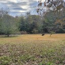 ETXPicker's profile picture