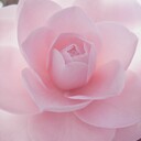 VictoriaGaluz's profile picture