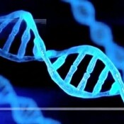 Bioheal14's profile picture