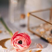 CMRCA's profile picture