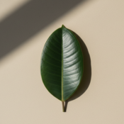 SpiritualDiversity's profile picture