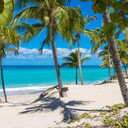 elsus_bq's profile picture