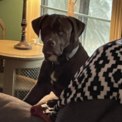 DeborahM1645's profile picture