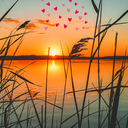 vjaiswani's profile picture