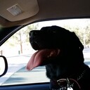 Chieff1's profile picture