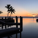 Lu286's profile picture