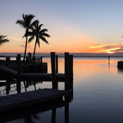 Lu286's profile picture