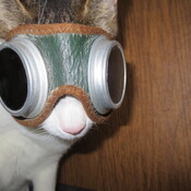 FuzzyLewis's profile picture