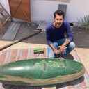 ARK_CRYSTAL's profile picture