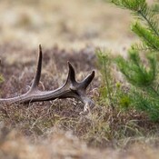 Creations_Nature's profile picture