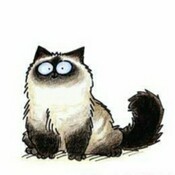 Bad_Cat's profile picture