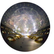 Nighs8's profile picture