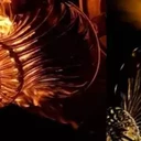 ahmed_mahmoud_hassan's profile picture