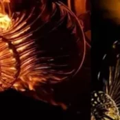 ahmed_mahmoud_hassan's profile picture