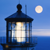 ATECH_Store's profile picture